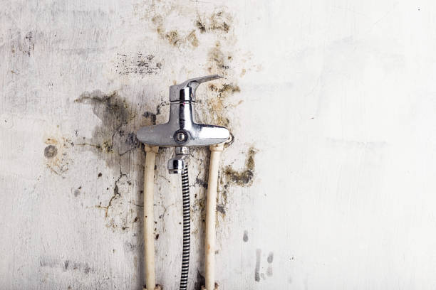 Mold Removal Process in Gloucester Point, VA