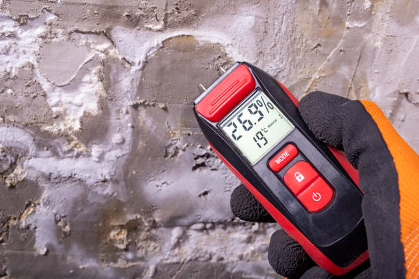 Best Mold Removal Process  in Gloucester Point, VA