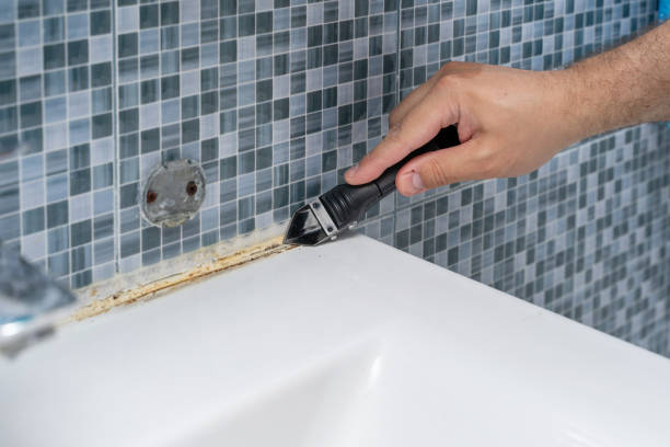 Best Mold Damage Repair  in Gloucester Point, VA